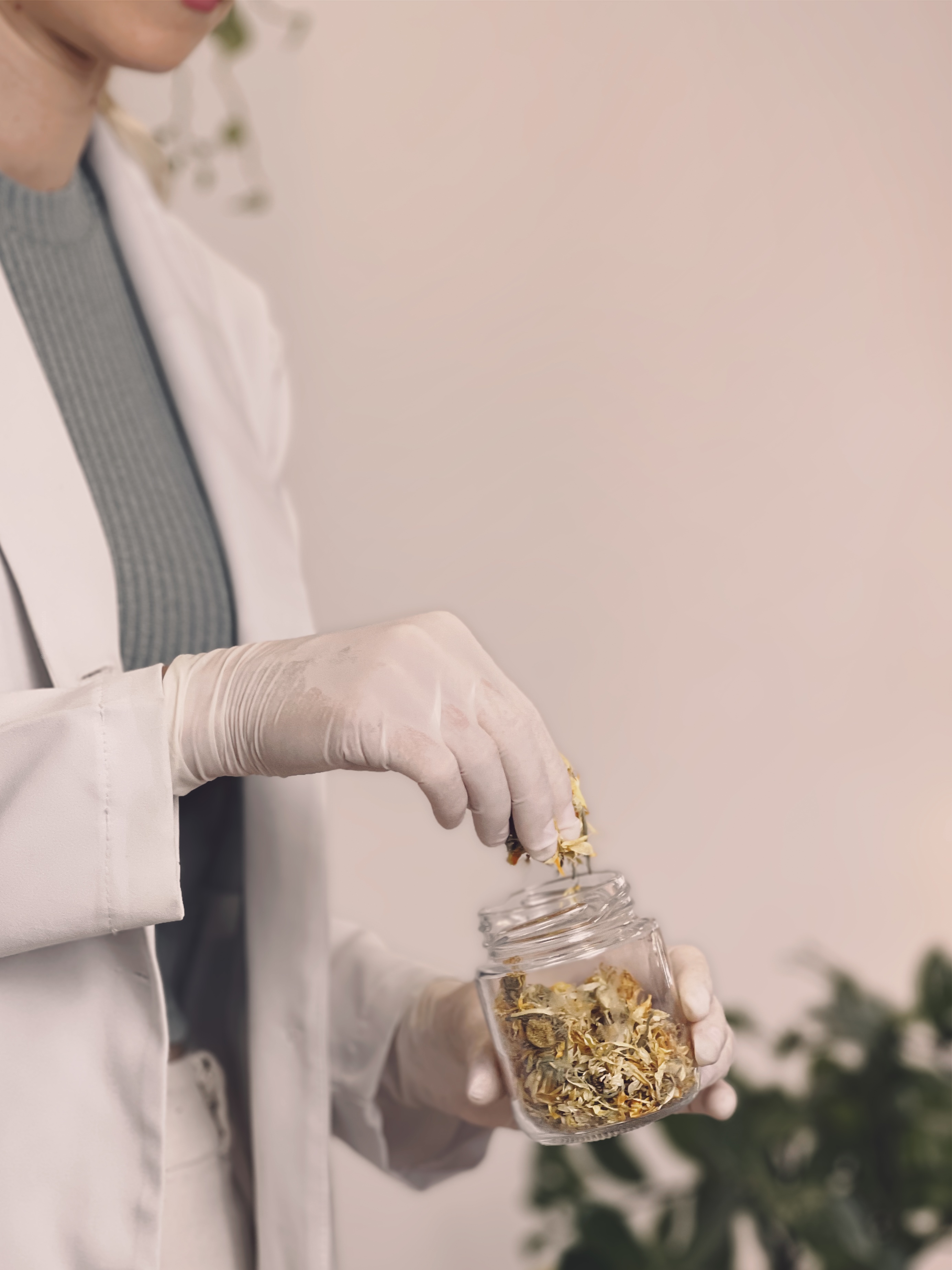 Plantas medicinais sendo pesadas para uma fórmula manipulada