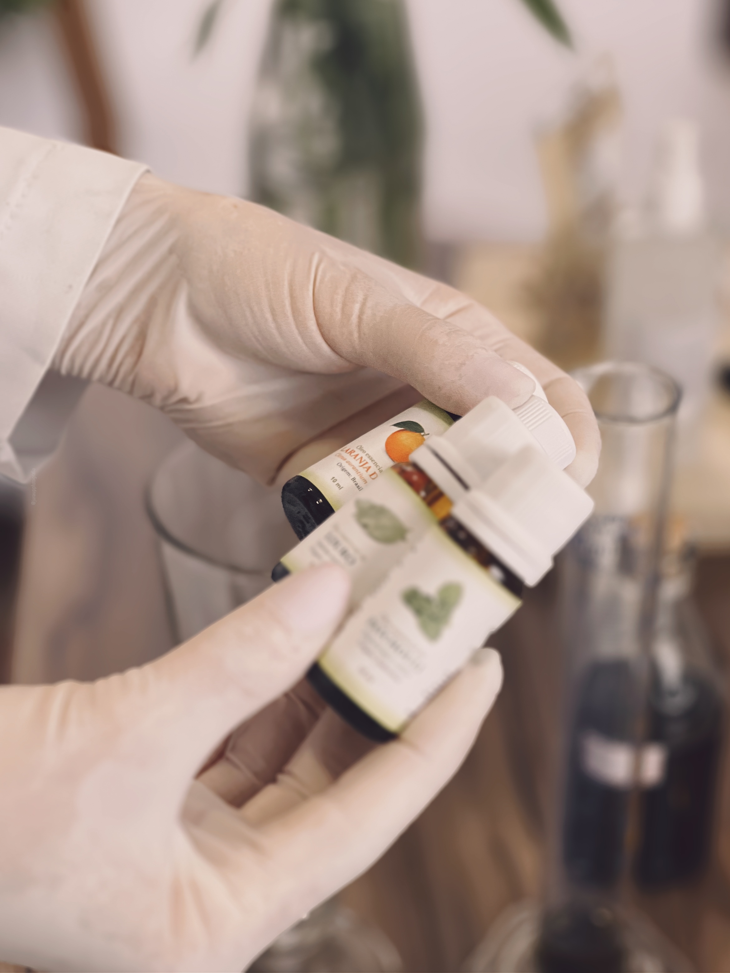 Óleos essenciais usados nos protocolos de aromaterapia clínica